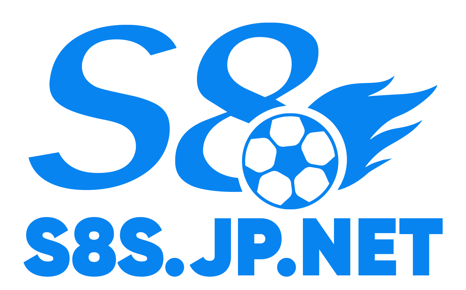 LOGO S8