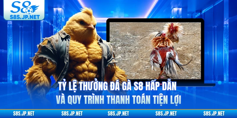 Tỷ lệ thưởng đá gà S8 hấp dẫn và quy trình thanh toán tiện lợi 